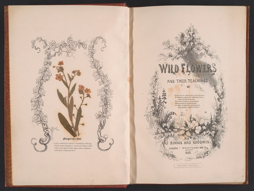 An open nineteenth-century book showing a pressed wildflower and an engraved title page.